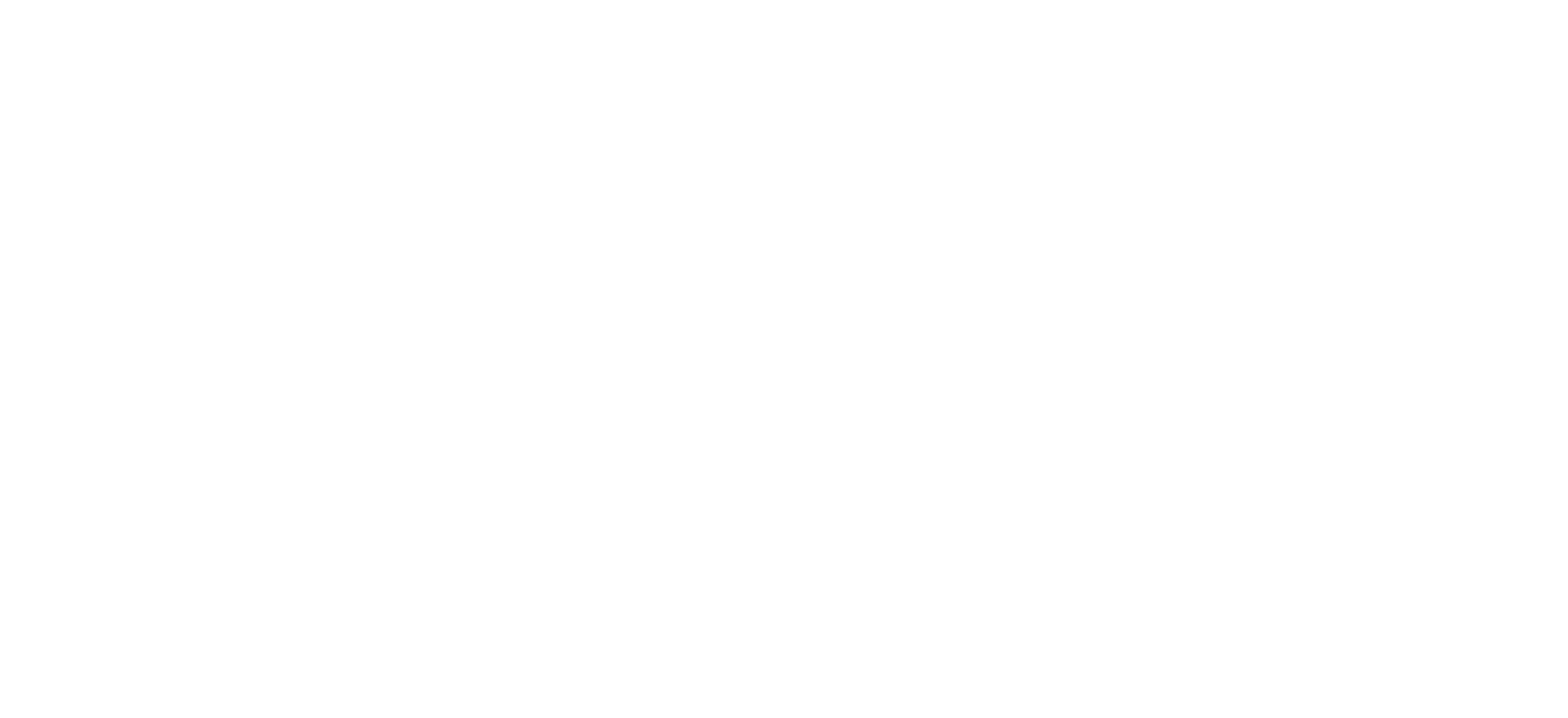 andronikos-logo-bianco